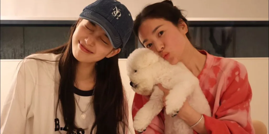 Song Hye Kyo and Suzy