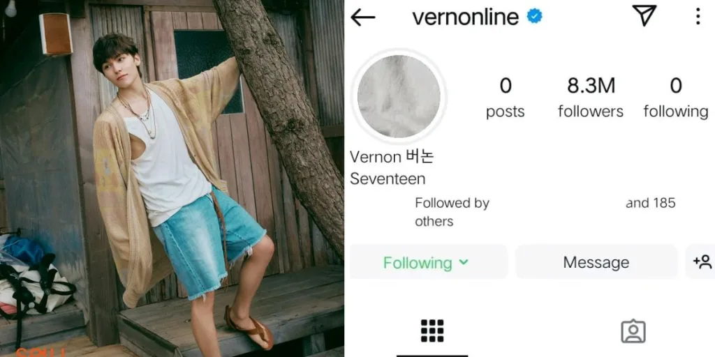 Vernon Instagram